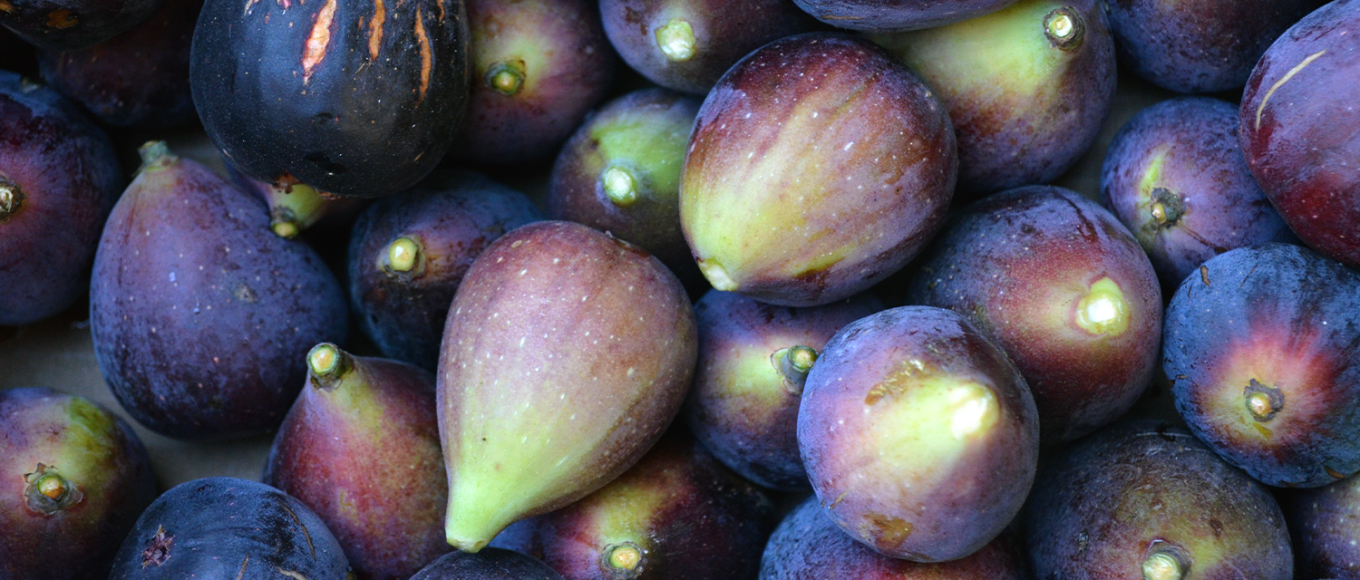 Fig Juice Concentrate: A Treasure of Aromas for Multiple Industries